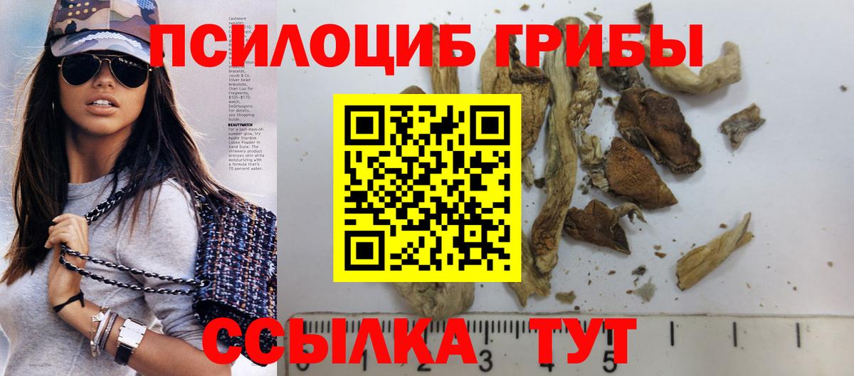 Галлюциногенные грибы GOLDEN TEACHER Каменск-Уральский